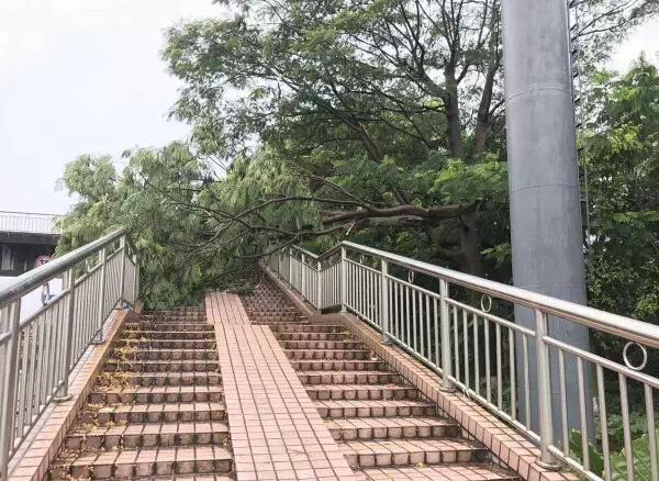 “天鴿”登陸了又怎樣，智彤印刷正常發(fā)放福利！